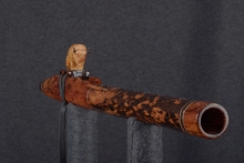 Southeast Asian Rosewood Burl Native American Flute, Minor, Mid G-4, #T7K